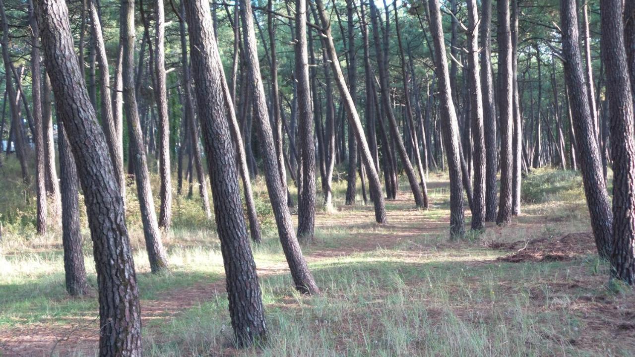Chambre D'Hotes Et Spa De La Presqu'Ile La Faute-sur-Mer Zewnętrze zdjęcie
